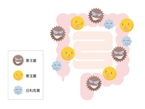 腸内環境にまつわるあれこれ～その②腸内細菌～[吉田管理栄養士]
