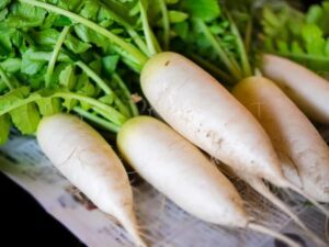 冬におすすめ根菜「大根」～大根で胃腸をサポート～[吉田管理栄養士]