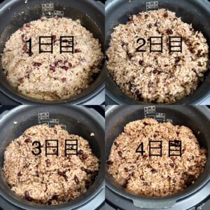 酵素玄米の魅力～酵素玄米は栄養素もたっぷり、もっちり食べやすいごはんです～[吉田管理栄養士]