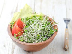 スプラウトを活用しよう！～お野菜不足しがちな方におすすめ野菜のひとつ「スプラウト」は手頃で手軽♪～【吉田管理栄養士】
