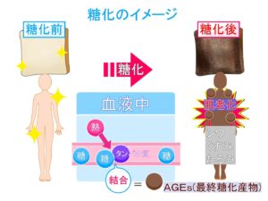 AGEがたまると老ける！～糖化によりたまるAGE、老化だけでなく、病気のリスクにも…糖化を抑制し老化速度を落としましょう。～【吉田管理栄養士】