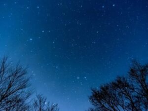 眼精疲労を起こしていませんか？～自律神経ともかかわる目の疲れ、放置せず日頃から対策をして目の健康を保ちましょう～ 【吉田管理栄養士】