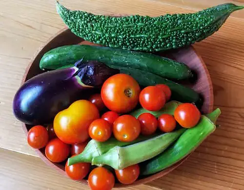 夏野菜