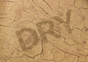 202609薬膳コラム（ダブル乾燥に負けない！秋の潤いチャージ薬膳）